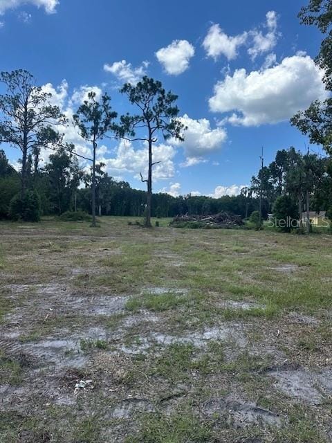 125 W 1st Ave, Pierson, FL 32180 - photo 3