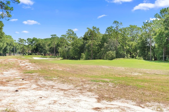 119 Pennyroyal Ln, Deland, FL 32724 - photo 3