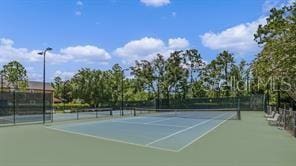 119 Pennyroyal Ln, Deland, FL 32724 - photo 49