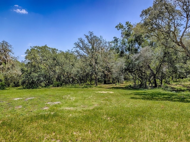 860 E Retta St, De Leon Springs, FL 32130 - photo 34