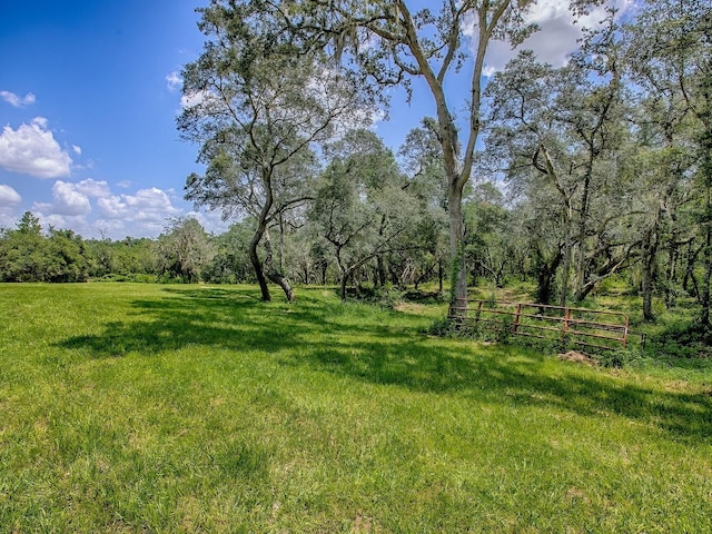 860 E Retta St, De Leon Springs, FL 32130 - photo 35