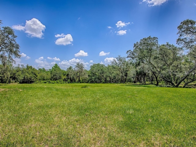 860 E Retta St, De Leon Springs, FL 32130 - photo 43