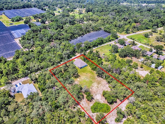 860 E Retta St, De Leon Springs, FL 32130 - photo 46