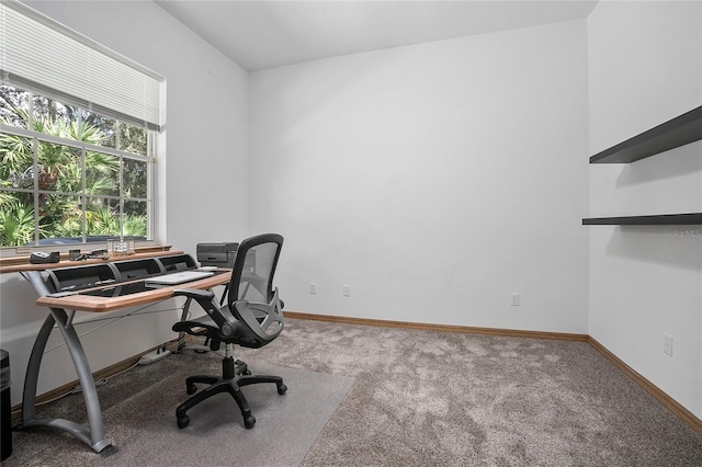 3402 Black Willow Trl, Deland, FL 32724 - photo 30