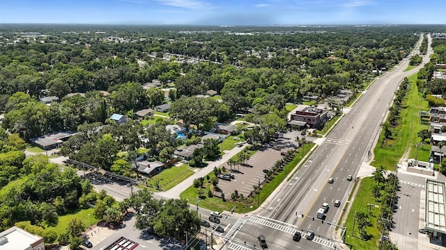 1021 Herbert St, Port Orange, FL 32129 - photo 40