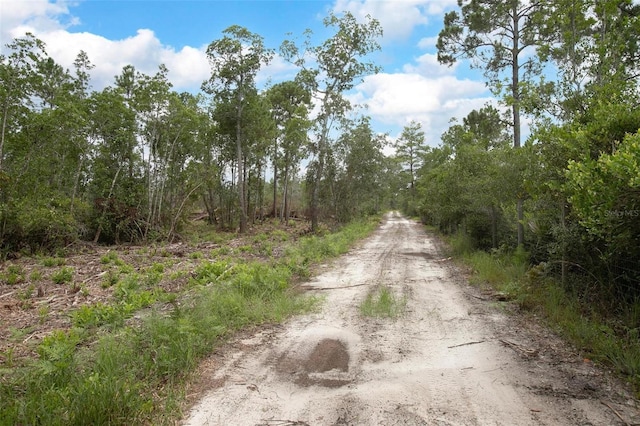 Commanders Way, Osteen, FL 32764 - photo 3