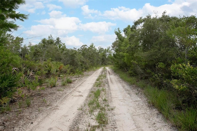 Commanders Way, Osteen, FL 32764 - photo 4
