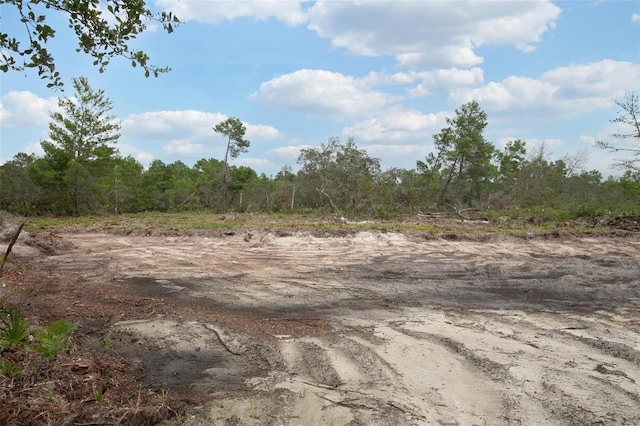 Commanders Way, Osteen, FL 32764 - photo 5