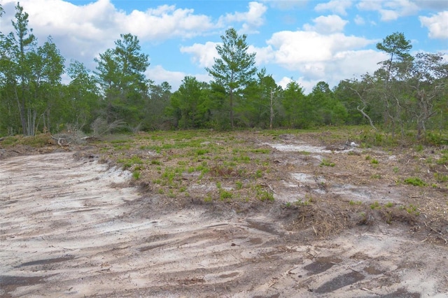 Commanders Way, Osteen, FL 32764 - photo 7