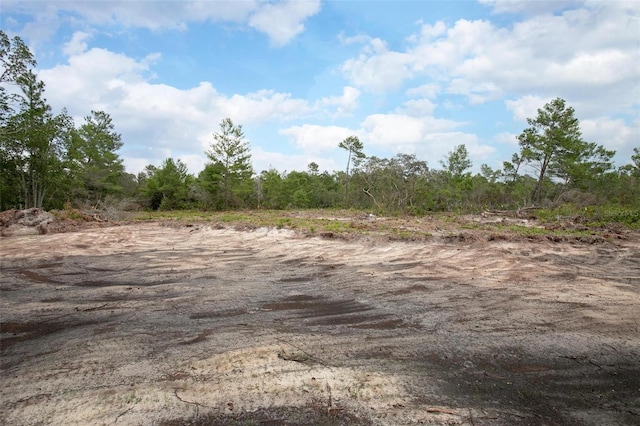 Commanders Way, Osteen, FL 32764 - photo 8