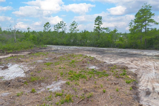 Commanders Way, Osteen, FL 32764 - photo 9