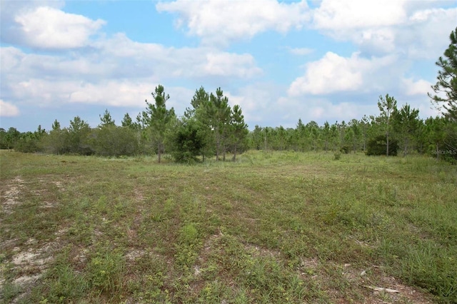 Commanders Way, Osteen, FL 32764 - photo 10