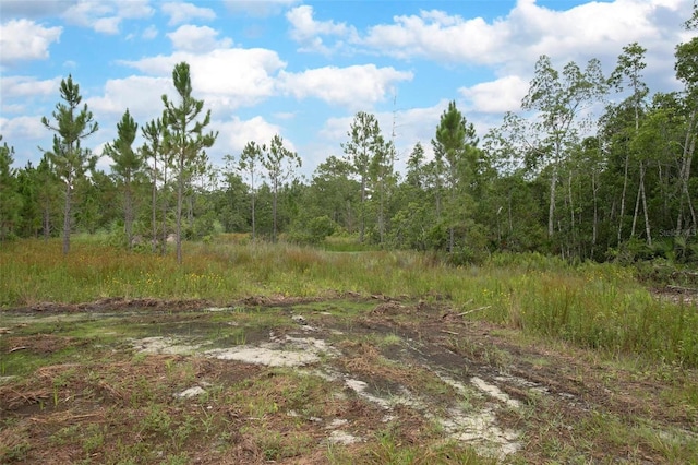 Commanders Way, Osteen, FL 32764 - photo 11