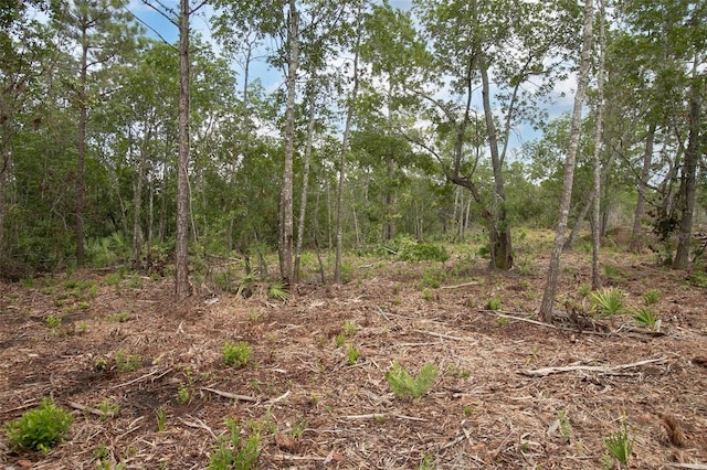 Commanders Way, Osteen, FL 32764 - photo 12