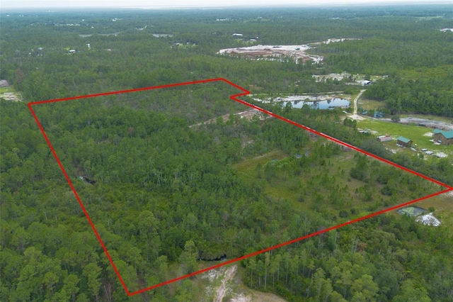Commanders Way, Osteen, FL 32764 - photo 14