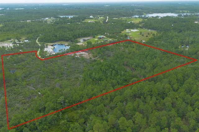 Commanders Way, Osteen, FL 32764 - photo 16