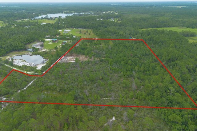 Commanders Way, Osteen, FL 32764 - photo 17