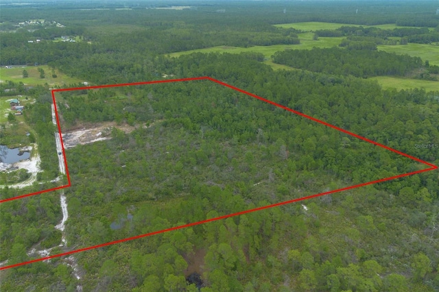 Commanders Way, Osteen, FL 32764 - photo 18