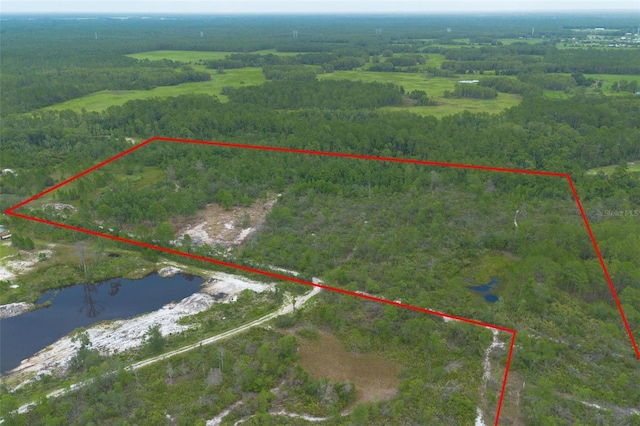 Commanders Way, Osteen, FL 32764 - photo 19