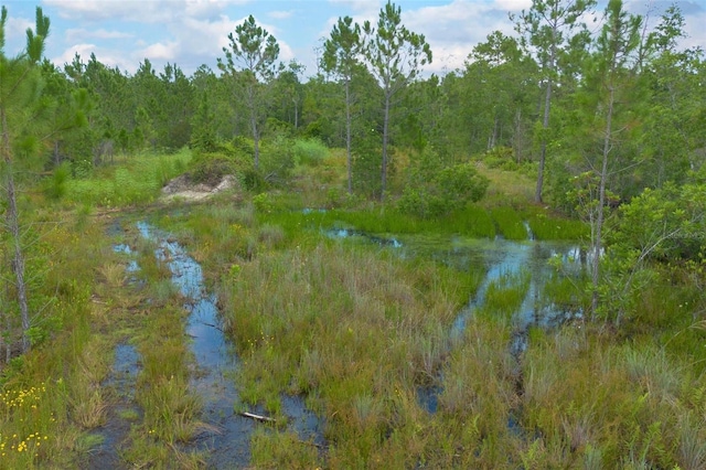 Commanders Way, Osteen, FL 32764 - photo 20