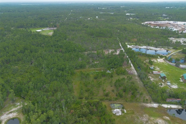 Commanders Way, Osteen, FL 32764 - photo 21