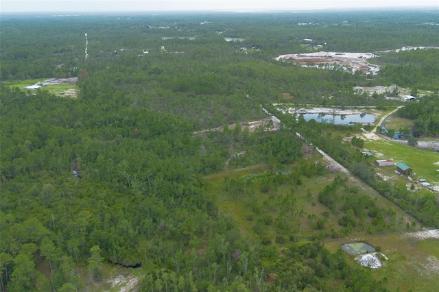 Commanders Way, Osteen, FL 32764 - photo 22