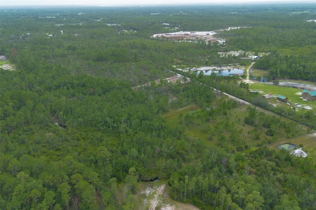 Commanders Way, Osteen, FL 32764 - photo 23