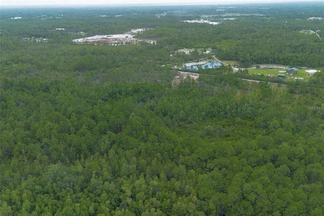 Commanders Way, Osteen, FL 32764 - photo 24