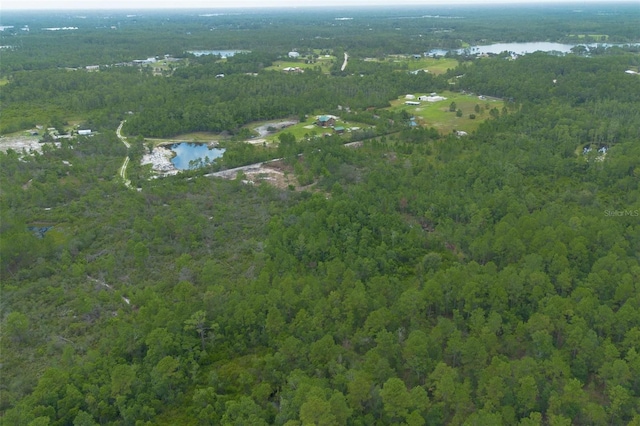 Commanders Way, Osteen, FL 32764 - photo 25