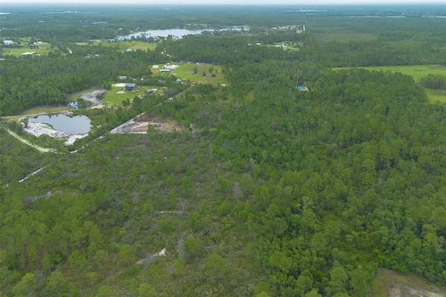 Commanders Way, Osteen, FL 32764 - photo 27