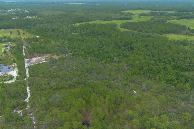 Commanders Way, Osteen, FL 32764 - photo 28