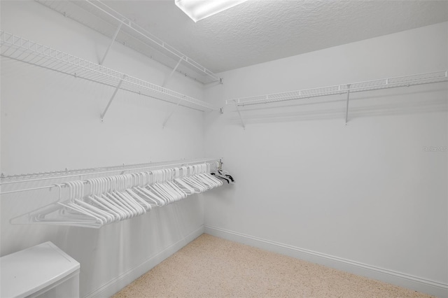 4670 Links Village Dr Unit D503, Ponce Inlet, FL 32127 - photo 39