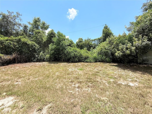 2431 S Tipton Dr, Deltona, FL 32738 - photo 26