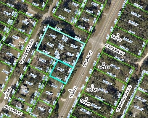 0 Broad St, Brooksville, FL 34604 - photo 1