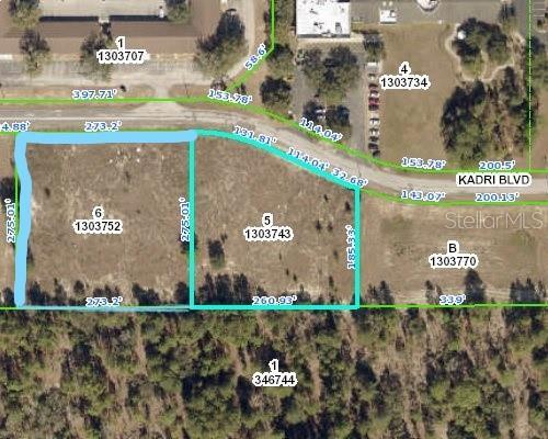 12160 Kadri Blvd, Spring Hill FL, 34608 land for sale