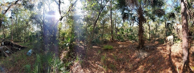8738 Lindy Ln, New Port Richey, FL 34655 - photo 4