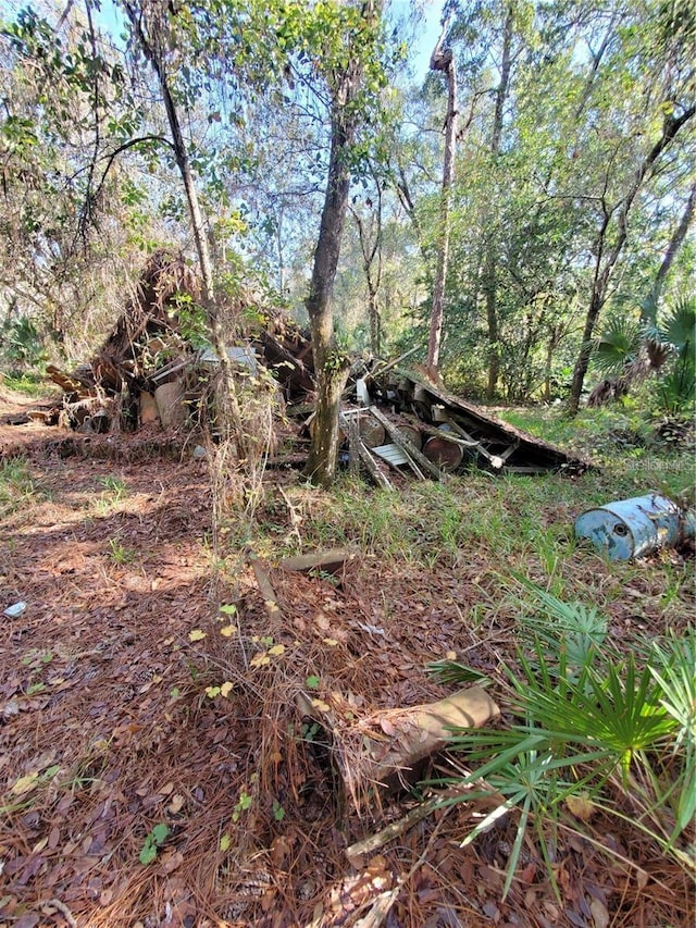 8738 Lindy Ln, New Port Richey, FL 34655 - photo 8