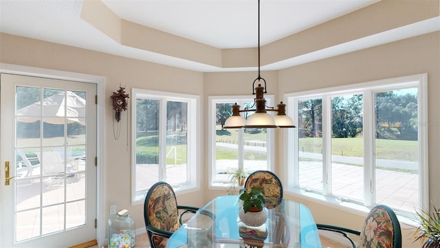 dining room featuring a raised ceiling