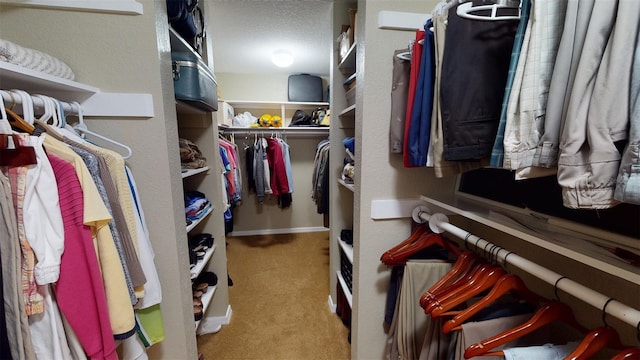 walk in closet with carpet flooring