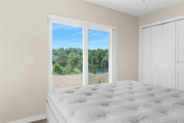 bedroom with a water view and a closet