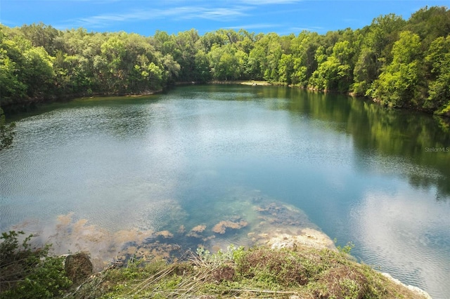 property view of water