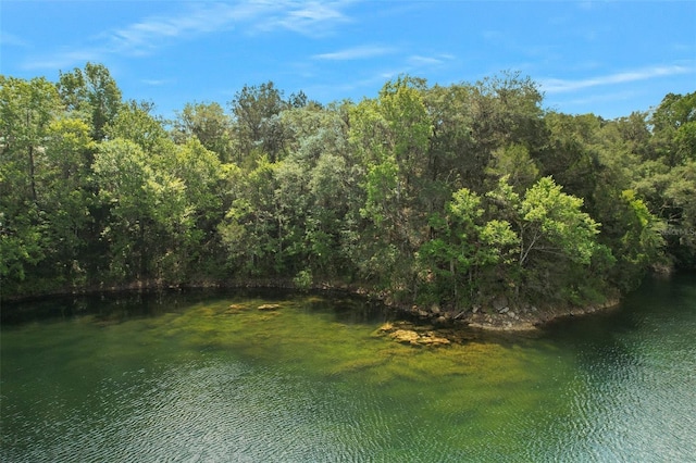 view of water feature