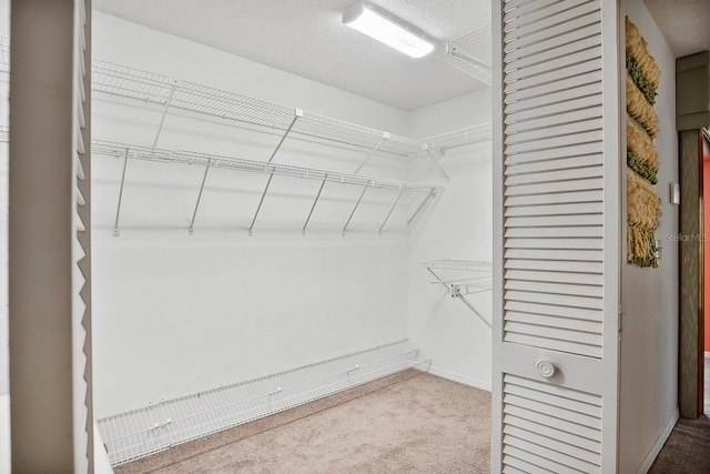 walk in closet with light colored carpet