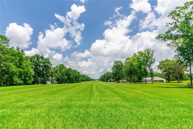 view of property's community featuring a yard