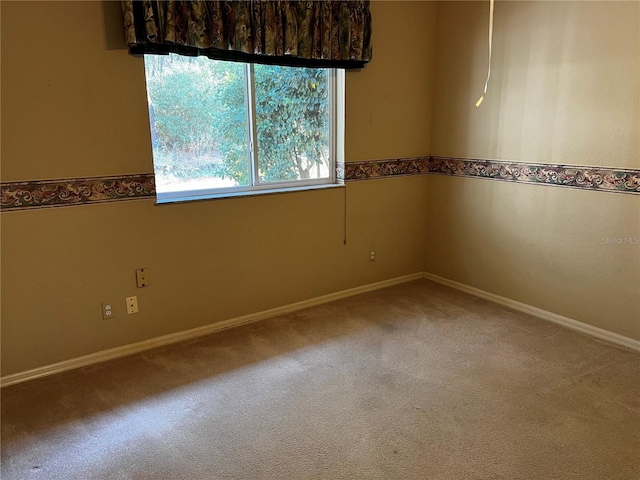 spare room featuring carpet floors