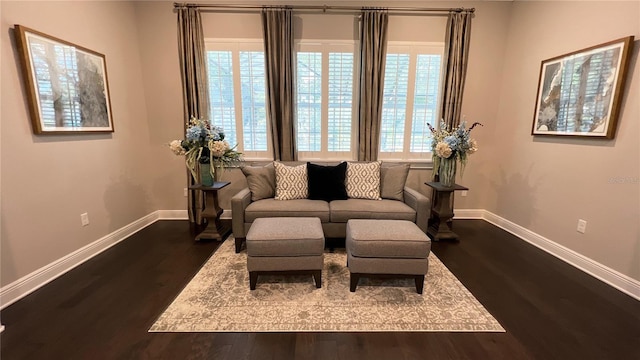 living area with dark hardwood / wood-style floors