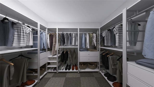 view of walk in closet