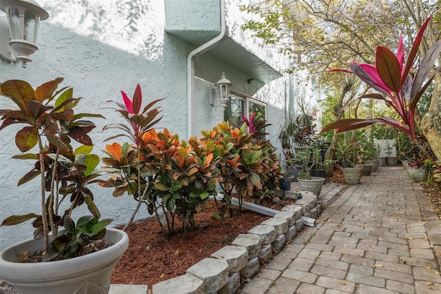 view of side of property featuring a patio