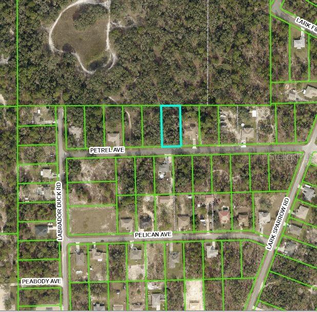 11455 Petrel Ave, Weeki Wachee FL, 34614 land for sale