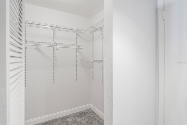 spacious closet featuring carpet floors